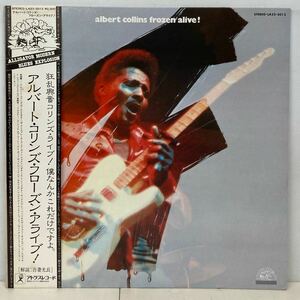 BLUES/ALBERT COLLINS アルバート・コリンズ/ FROZEN ALIVE (LP) 国内盤 帯付き (g219)