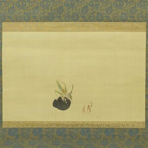 【真作】喜聞◆『渡辺清(渡辺周渓) 加茂茄子と昆虫図 (きりぎりす)』　1幅 古筆 古文書 古書 日本画 復古大和絵 茶道 尾張 名古屋 江戸幕末