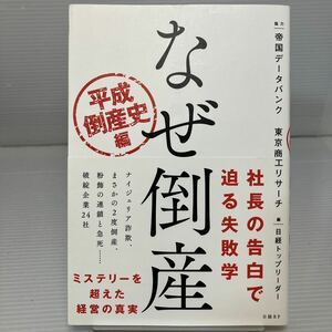 なぜ倒産　平成倒産史編 日経トップリーダー／編 KB1227