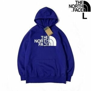 売切り【正規新品】THE NORTH FACE◆W HALF DOME PULLOVER HOODIE パーカー US限定 ハーフドームロゴ 裏起毛 男女兼用(L)青 181130-23