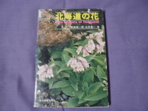 N9　北海道の花　鮫島惇一郎・辻井達一著　北大図書刊行会