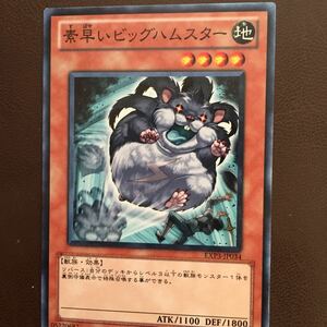 (44)遊戯王 カード 素早いビックハムスター