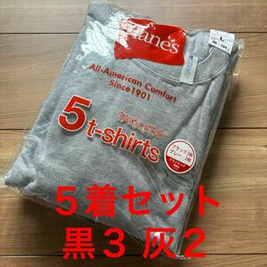 新品未使用 Hanes ヘインズ ドライタッチ 無地 半袖 Tシャツ 5枚セット ブラック グレー 5着セット 灰色 黒色