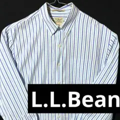 L.L.Bean L XL 長袖 総柄 ストライプ 柄 ブルー シャツ