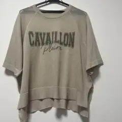 CAVAILLON ベージュ 半袖ニット F