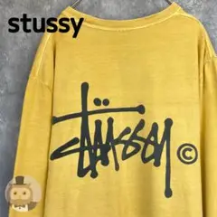 【メキシコ製】stussy ストックロゴ ロンT メンズ 古着 長袖 ストリート