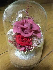 美品ガラスケース付きブリザードフラワー　薔薇