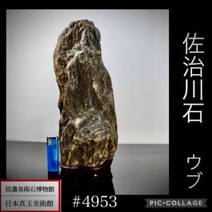 【信濃美術石博物館】 水石 盆栽 佐治川石 ウブ 高33.5(cm) 5.4kg 骨董盆石古美術鑑賞石観賞石太湖石中国古玩 4953