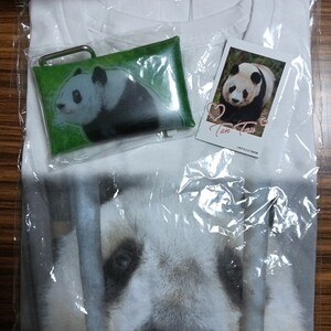 《タンタン》25th Anniversary Tシャツ パンダ来日52周年記念フォト風カード 松坂屋上野 マルチケース　王子動物園 / シャンシャン　パンダ