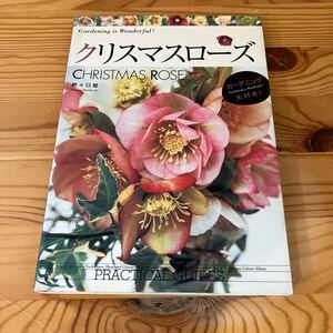 クリスマスローズ　Gardening is Wonderful! ガーデニング大好き！　野々口稔