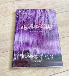 ★即決★送料111円～★ナショナルジオグラフィック ふじのはな物語 あしかがフラワーパーク 