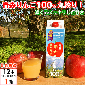 リンゴジュース 青研の葉とらずりんごジュース ストレート100%果汁 1000g 12本入 1ケース 青森県産 青研 無添加