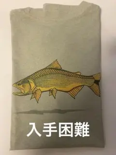 【Patagonia】Golden Dorado World Trout Tee