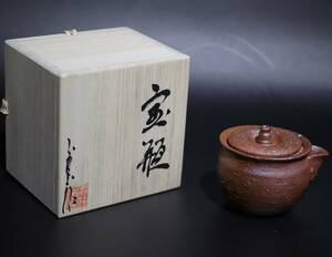 宝瓶 前 煎茶器 未使用品 美品 —19