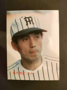 カルビープロ野球カード 85年 No.376 真弓明信 阪神 1985年 レアブロック (検索用) ショートブロック ホログラム 金枠 地方版