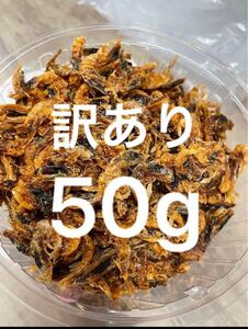 訳あり　オキアミ　50g 無添加　乾燥 釣り餌 小動物 爬虫類　大型魚 カメ