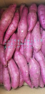 R6年新物初物10㌔以上茨城県紅はるかS&2Sメイン少し訳あり品サツマイモ減農薬栽培　生産農家直送