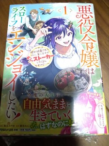 悪役令嬢はスローライフをエンジョイしたい! ~やっと婚約破棄されたのに、第二王子が~ 1 梅星あやめ/雨宮れん マガジンハウス isekaif 新品