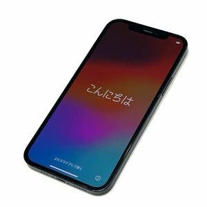 iPhone 12 128GB ブラック MGHU3J/A A2402 SIMフリー 利用制限なし FACE ID使用不可 充電コード箱付き 送料無料