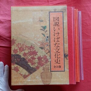 大型g【図説 いけばな文化史 全3巻/いけばなの誕生,いけばな様式の成立,近代いけばなの発展/主婦の友社・昭和54年】