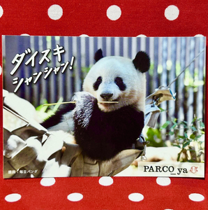 【シャンシャン 非売品 ステッカー】ダイスキ シャンシャン！（PARCO_ya上野） ジャイアントパンダ 上野動物園 香香 シール