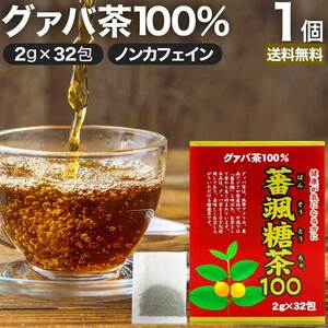 グァバ グァバ茶 グアバ グアバ茶 ガバ茶 ガバちゃ 茶葉 ティーパック ティーバッグ ダイエット 2g*32包 送料無料 宅配便