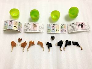 ★即決★チョコエッグ★ペット動物★第1弾★柴犬★2種セット★未組立品★カプセル付き★ミニブック付き★海洋堂★松村しのぶ★ 