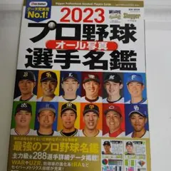 世界野球プレミア12で活躍するプロ野球選手名鑑（プロ野球写真集）