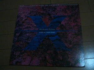 X JAPAN エックス / 1992.1.5.6.7 TOKYO DOME - ON THE VERGE OF DESTRUCTION パンフレット YOSHIKI HIDE TOSHI TAIJI PATA EXTASY RECORDS
