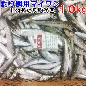 冷凍餌 マイワシ 10kg～約260匹 150-200ｍｍ程度 釣り餌 まいわし 鰯 釣りエサ 撒き餌 熱帯魚 観賞魚 アロワナ 淡水魚餌 大型魚のえさ