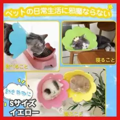 即日発送⭐️エリザベスカラー 猫犬散歩 ソフトイエロー 動く自由 軽い 手術後