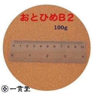 おとひめB2 100g (0.36～0.62mm)　沈降性　めだかのエサ　メダカ餌　送料無料 金魚　小分け品