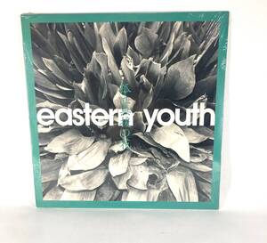 ★新品未開封★eastern youth 孤立無援の花　LPレコード　