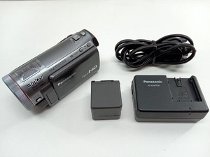 Panasonic パナソニック デジタルハイビジョンビデオカメラ HDC-TM750-H (メタリックグレー) ムービー