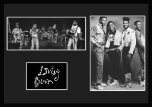 8種類!Living Colour/リヴィング・カラー/ROCK/ロックバンドグループ/証明書付きフレーム/BW/モノクロ/ディスプレイ(8-3W)