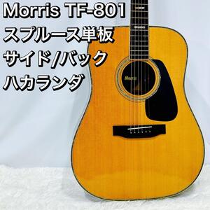 Morris TF-801 スプルース単板 サイド/バック ハカランダ モーリス