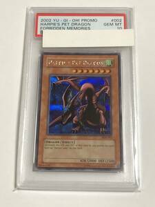 遊戯王 PSA10 英語版 ハーピィズペット竜 シークレットレア シク 美品 HARPIE