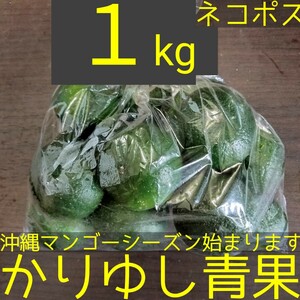 沖縄県産　シークヮーサーＢ品約１kg【ネコポス】⑫