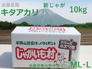 (近藤農園直送) 北海道羊蹄山麓産【キタアカリ】正品 大きさ混みサイズ 10kg