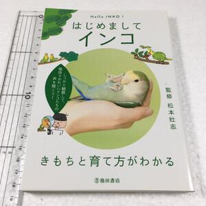 即決　未読未使用品　全国送料無料♪　はじめまして インコ きもちと育て方がわかる　JAN- 9784262131429