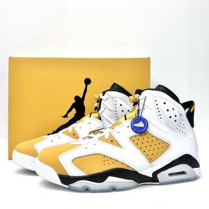 Nike Air Jordan 6 Retro 