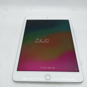 管理:M2-3210/ジャンク/完動品動作確認済み/ iPad mini 第5世代 a2124 256GB Wi-Fiモデル