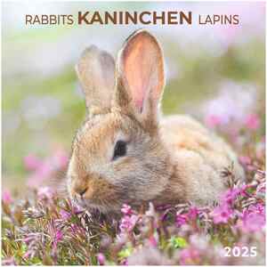 2025 Calendar artwork STUDIOS 壁掛けカレンダー2025年 Rabbits/Kaninchen うさぎ