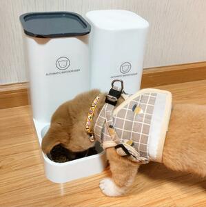 ペット用 自動餌やり器 自動餌やり機 犬用 猫用 餌やり器 給水器 重力式 2個セット 猫 犬 216 R35