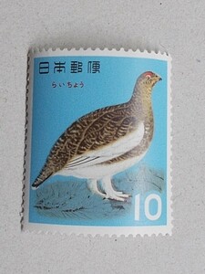 【未使用】鳥シリーズ　ライチョウ　１枚