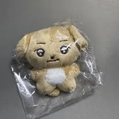 enhpyen ジェイク　ぬいぐるみ　10cm 新品　マスター