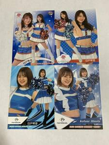 日戸琴音 2020-2023 BBM チアリーダー 華 舞 レギュラーカード 4枚セット 日本ハム FIGHTERS GIRL きつねダンス 即決