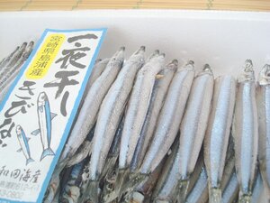 築地丸中　おいしい！宮崎県島浦産きびなご一夜干し48尾入り（無添加）！ キビナゴ