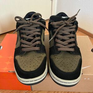 NIKE DUNK LOW SB ロデン