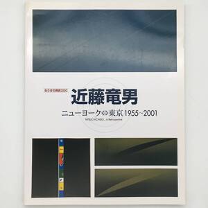 【図録】近藤竜男-ニューヨーク東京1955?2001　ねりまの美術2002　序文中原佑介☆油絵　現代美術　アンフォルメルから抽象表現主義へ b9yn9